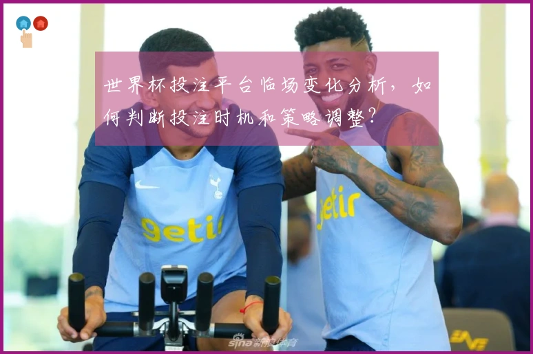 世界杯投注平台临场变化分析,如何判断投注时机和策略调整?